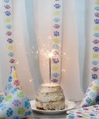 A carrot cake to celebrate your favorite pup, this easy cake combines shredded carrots with peanut butter, oil, vanilla, optional honey, and wheat or awesome recipe!!! Spoiled Dog Cake Recipe Love From The Oven