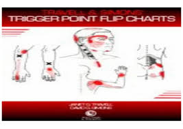 free download pdf travell and simons trigger point flip