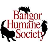 Find and adopt a pet on petfinder today. Bangor Humane Society Linkedin