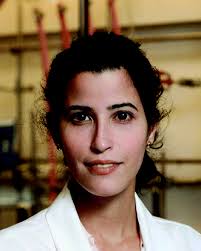 Micro- and nanoparticles for treating cardiovascular disease