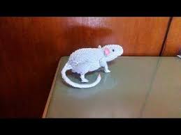 How To Make Origami 3d Mouse Rat Tikus Youtube Origami Rat Origami Mouse Origami And Kirigami