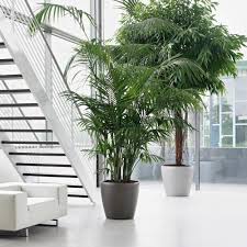 This bold planter has a modern style with smooth walls, a rounded top edge, and logo stamp details at the bottom and top. Six Extra Large Self Watering Planters For Easy Plant Care Eplanters