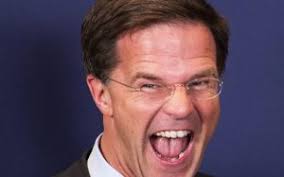Image result for TOTALE PANIEK IN DEN HAAG OVER MH17 LEUGENS