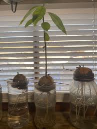 Image result for Dark Avocado 1977 Fedders