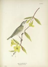 Pin On Everything Yeahthatgreenville