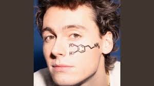 Boek Adriaan Persons op je festival of evenement