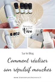 Comment Realiser Soi Meme Son Repulsif Mouches Repulsif Mouche Repulsif Huile Essentielle De Menthe