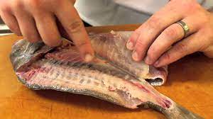 We did not find results for: How To Prepare And Fillet Scup Youtube