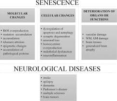 Aging And Neurological Diseases Intechopen