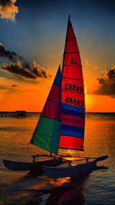 Scott Pearson Scooterp58 - Profile Pinterest