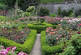 Der Garten Der Seigneurie Auf Sark Garten Pflanzen Und Schrebergarten