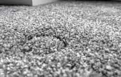 Image result for does steam cleaning remove carpet dents