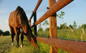 Suitable for burial or contact with the ground and fresh water immersion applications. Fence Post 101 Start With A Good Fencing Foundation