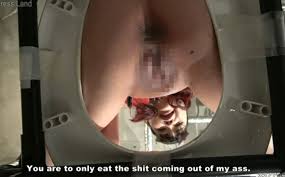 ENG SUB) Japanese Femdom Toilet Piss POV + Smothering - ThisVid.com