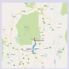 Image result for Fagaropsis