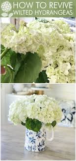 Flower Hack Easy Tip On How To Revive Wilted Hydrangeas Hydrangea Care Wilted Flowers Planting Hydrangeas