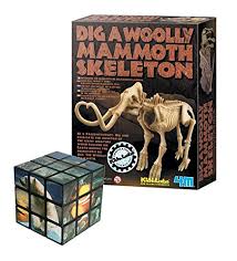 Check spelling or type a new query. Fun Idea For Dig Amp Excavate A Mammoth Skeleton Bones Educational Amp Problem Solving Set Free 3d Animal Cube Puzzle Great Gift Present Idea For Christmas Xmas Stocking Filler Birthdays
