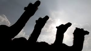 There are a lot of topics on the subject and i recommend you to start note that the camel source is full of test cases that you could study some to get inspiration how to testing/mocking. Think Your Job Is Hard Try Vaccinating A Camel