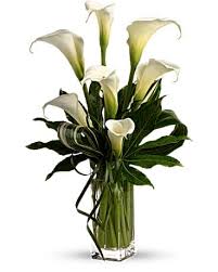 White callas will grow in boggy or alkaline soils. Elegant Calla Lily In Oakland Ca From The Heart Florist