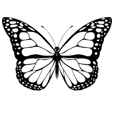 Butterfly Coloring Page Free Printable Butterfly Coloring Pages For Kids Entitlementtrap Com White Butterfly Tattoo Butterfly Tattoo Stencil Butterfly Stencil