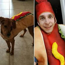 Yes of course I dressed my dogs up in Halloween PJs aren't they ADORABLEEEE  🥹 #dogs #doghalloweencostume #doghalloween #doghalloweenpajamas  #dogpajamas #dogfashion #halloween