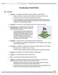Student exploration food chain answer key pdf. Food Chain Vocabulary Biology Worksheet Food Chain Worksheets For Kids
