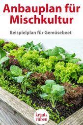 Kleine Flache Grosser Ertrag Ein Gemusebeet Clever Planen In 2020 Garden Care Resin Planters Growing Vegetables