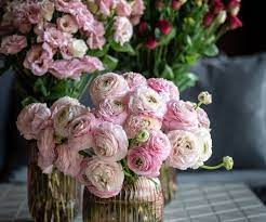 Check spelling or type a new query. Flower Delivery Sustainable Ethical Flowers Send Bloom Flowers