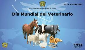 Los primeros veterinarios, que fueron cinco, egresaron en el año 1862. Veterinaria Uaem On Twitter Dia Mundial Del Veterinario