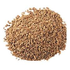 Image result for Apium leptophyllum