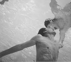 Bildergebnis für Robert Flynt