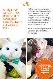 Study Finds Nhv Natural Pet Products Supplement Beneficial In Managing Urinary Stones In Dogs And Cats Natural Pet Pets Animal Medicine
