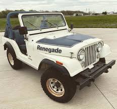 Image result for Alpine White 1978 AMC