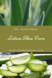 Recette Lotion Tonique Pour Le Visage A L Aloe Vera Tonique Visage Lotion Tonique Lotion