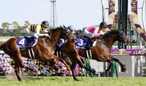 宅男腐女的爱好导航。 地址发布页： landh.cyou 最新地址： ldh. ãƒŸã‚¹ã‚¿ãƒ¼ãƒ¡ãƒ­ãƒ‡ã‚£ãŒg1åˆå‹åˆ© ç«¶é¦¬ã®é«˜æ¾å®®è¨˜å¿µ æ—¥æœ¬çµŒæ¸ˆæ–°èž