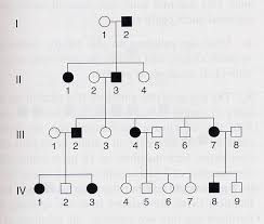 Maybe you would like to learn more about one of these? Http Mcb Berkeley Edu Courses Mcb41 Practice Problems Answ Pdf