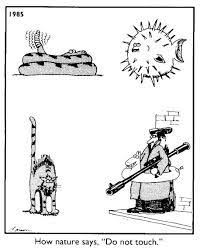 The floodgates of the berenda reservoir in chowchilla, california, were completely dry june 21, 2021. Pin On Farside Have A Laugh