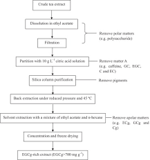 Bulk Preparation Of Epigallocatechin Gallate Rich