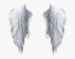 White Angel Wings Transparent Background Hd Png Download Is Free Transparent Png Image Download And Us White Angel Wings Skull Girl Tattoo Angel Wings Images