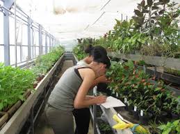 Masuratori terestre si cadastru nr crt. Facultatea De AgriculturÄ Si HorticulturÄ Din Craiova Atrage Tot Mai MulÅ£i StudenÅ£i Cuvantul LibertÄÅ£ii