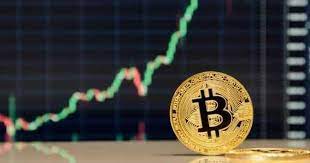 In 2021, the us will have a new president, the impacts of. Doug Casey On The New Crypto Bull Market And What He S Doing To Profit