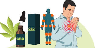 Check spelling or type a new query. How To Use Cbd Oil For Pain Management Study Reviews