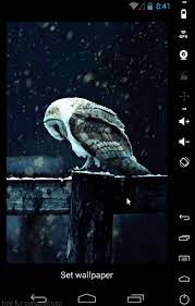 Harry Potter Live Wallpaper Live Wallpapers Live Wallpaper Iphone Harry Potter Iphone Wallpaper