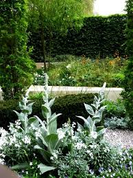 Laurent Perrier Garden Ulf Nordfell Rhs Chelsea 2013 Back Garden Design Garden Design White Gardens