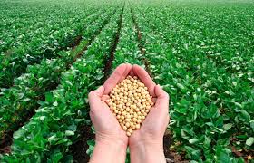 Our bodies need these nutrients in larger quantities. Micronutrients Plant Nutrition Croda Crop Care