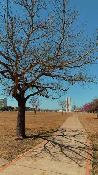 🍂🥵 A seca histórica que atinge Brasília em 2025 ganhou destaque nas redes  sociais após a moradora Luiza Mafra publicar um vídeo comparando o antes e  depois do período de estiagem. Nas
