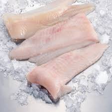 European Seabass • Dicentrarchus Labrax • Fish Sheet