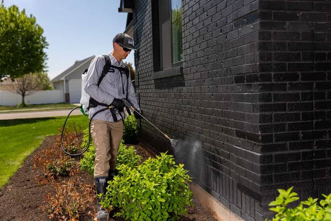 Eco-Friendly Lawn Pest Control
