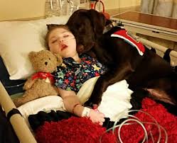 Tripp Halstead Updates