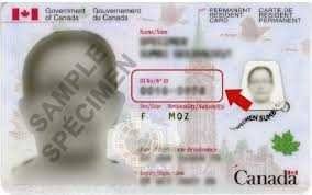 We did not find results for: Pr Card Canadian Immigration Blogs